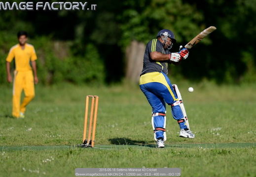 Cricket